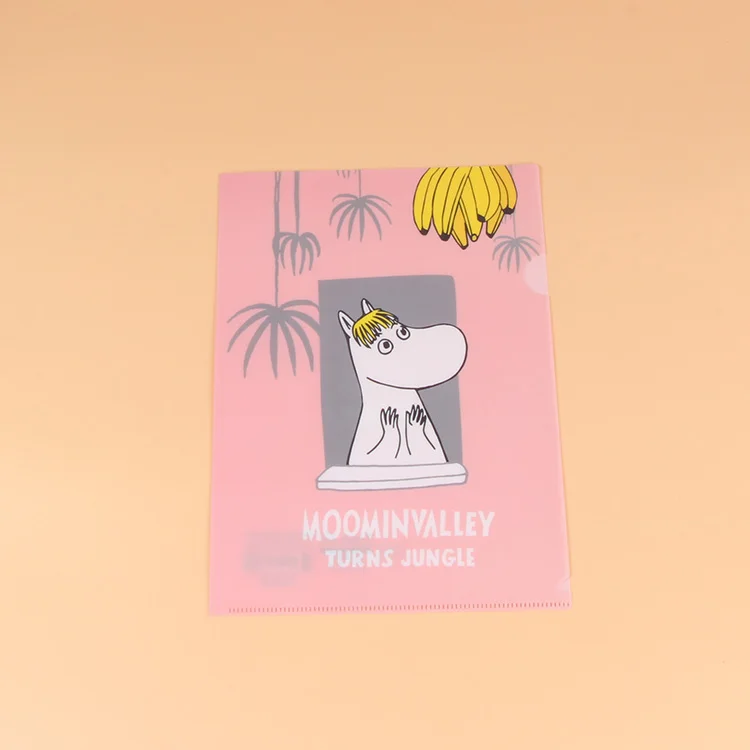 plastic clear file folder