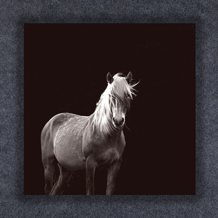 hand painted animal oil painting horse oil painting on canvas