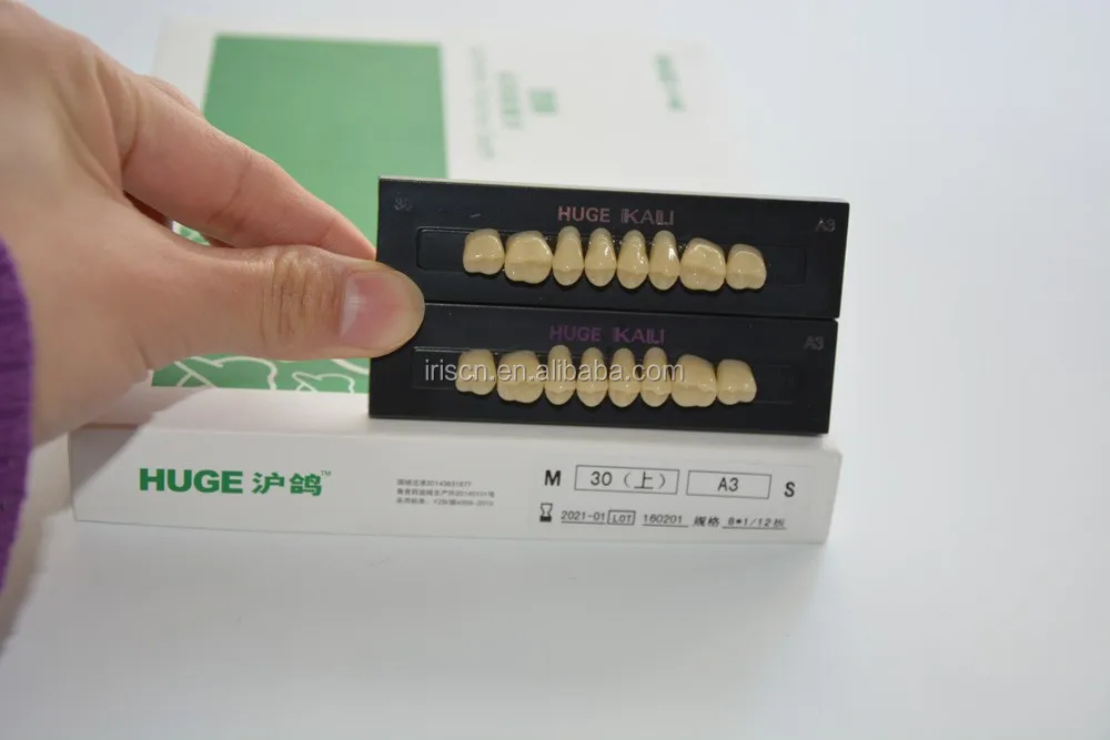 3 Layers Huge Dental Acrylic Resin Artificial Teeth Anterior Posterior