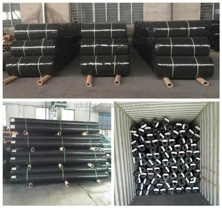 geotextile 007