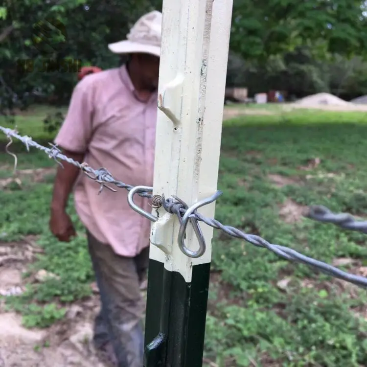 Wholesale High Quality T Fence Post,Used Metal Fence Post For Garden