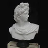 Professional apollo belvedere bust for home decoration