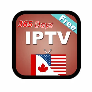 12 Months IPTV Subscription Smart TVs Android Boxes