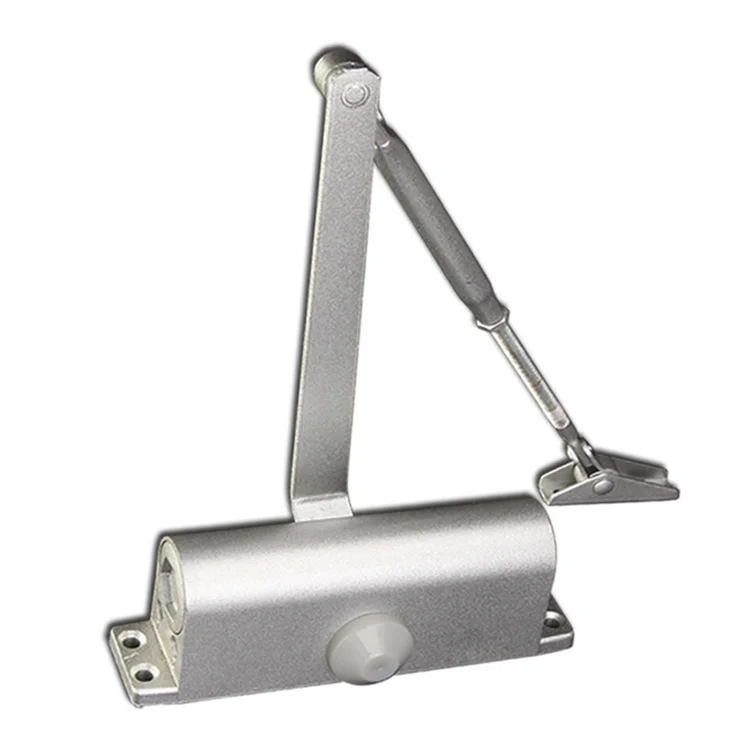65kg Concealed Hydraulic Hidden Door Closers Silver Classical Frameless