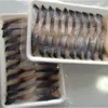 akta mackerel