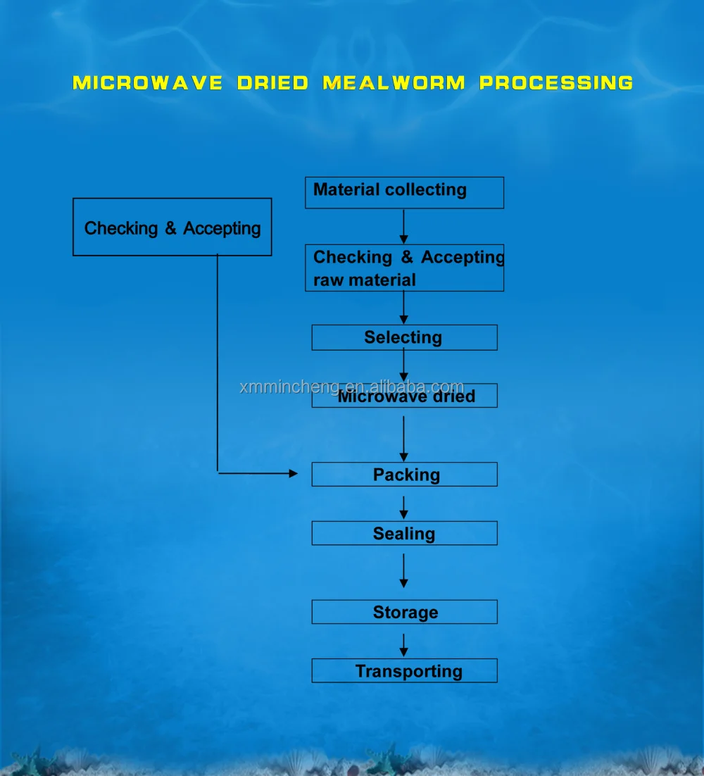 MICROWAVE DRIED MEALWORM PROCESSING.jpg