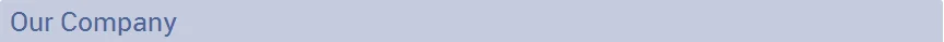 our company.png