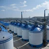 Most Popular New Condition Galvanized Steel Silo for Grain and Feed Storage