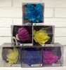 Handmade Colored Sola Flower Cotton Rope PVC Case/Box Reed Diffuser TS-FD183