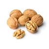 China Top Grade Wholesale Price Walnut