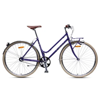 3 speed belt drive bicycle