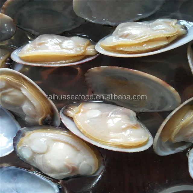 
frozen boiled short necked clam meat in nature taste  (60696641906)
