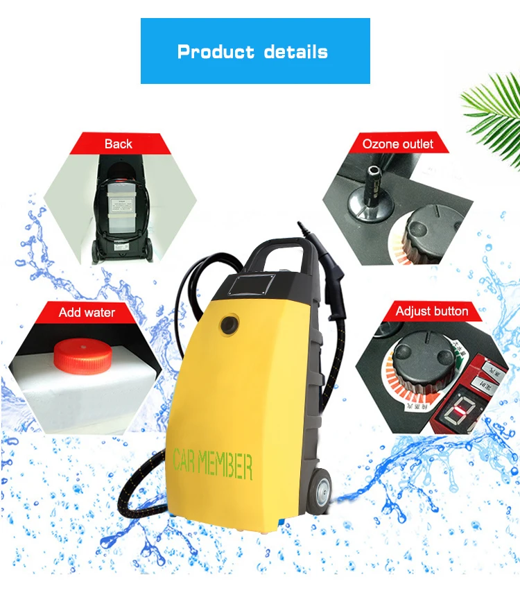 Steam Cleaner