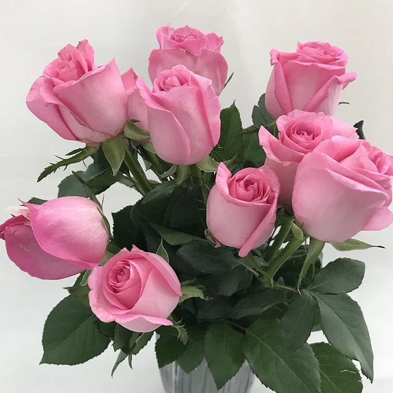 Wholesale Fresh Flowers Petty Peony Flower Delivery For Florist Buy