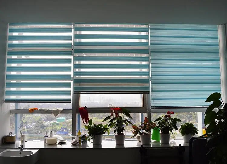 Blackout blue zebra blinds zebra shades window blinds for office