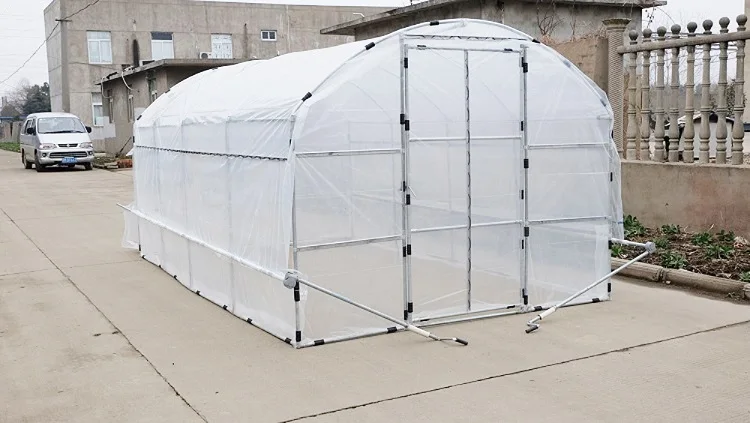 work in greenhouse2.JPG