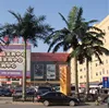 big discount display artificial palm tree for decoration