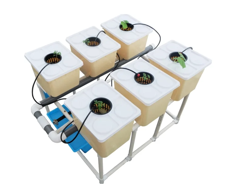 Greenhouse Commercial Dutch Bucket Hydroponic System For Growing