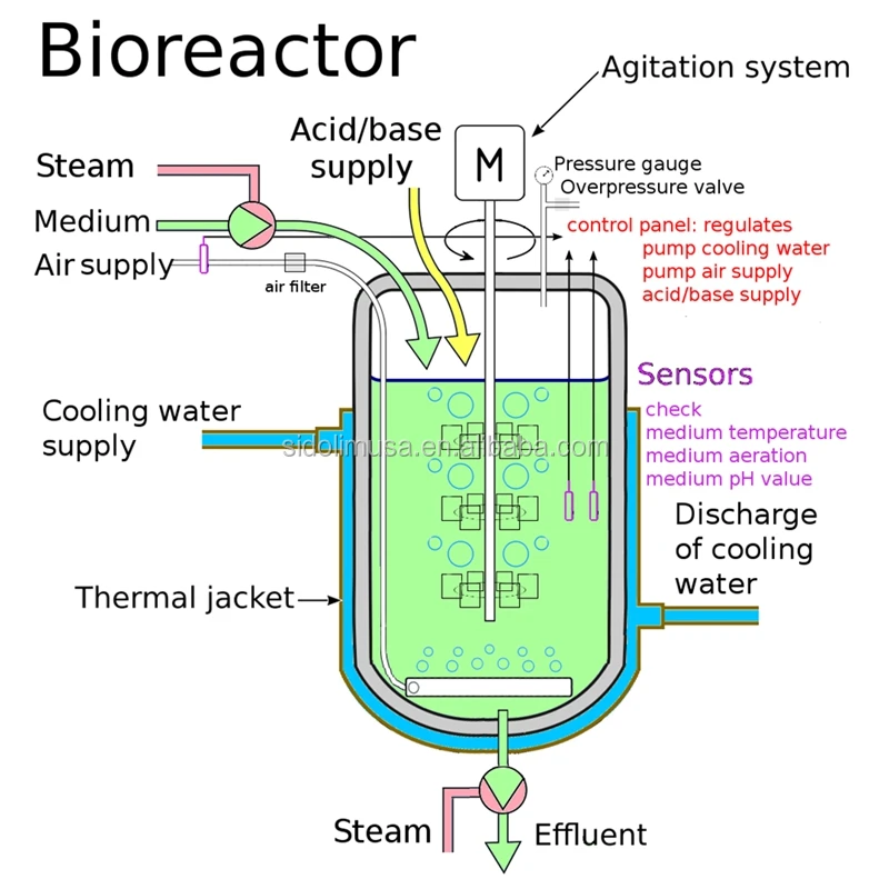 fermenter bioreactor  (75)