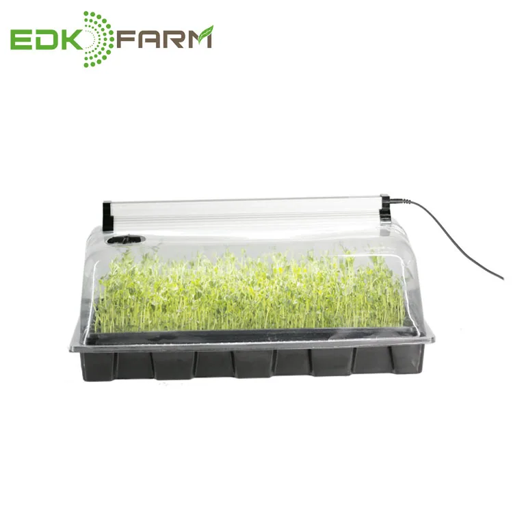 

indoor led grow light hydroponic mushroom vegetable microgreen growing kit, Clear+black