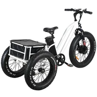 

3 wheels e bike fat tire electric tricycle cargo electric trike