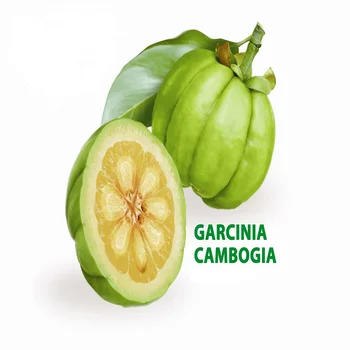 jual ekstrak garcinia cambogia di indonésie