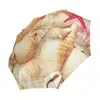 China OEM custom design Wholesale shell Screw logo print heat transfer 3fold auto open and closed woman umbrella