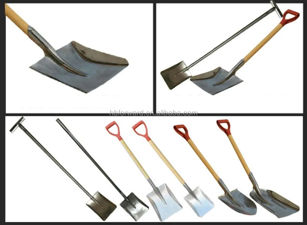Seafood Shovel 304 Stainless Steel Shovel Spade,Non Hand Tools