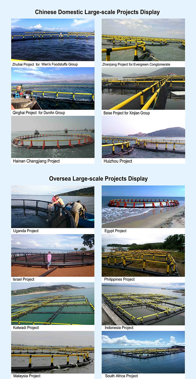 Projects display.jpg