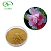 High Quality Henna Extract / Henna P.E. / Henna Flower P.E. for Hair Coloring & Cosmetics