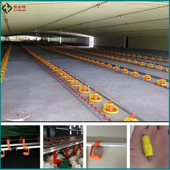 Broiler Chicken Feeder And Nipple Drinkers For Complete Chicken