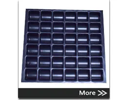 Factory Custom PS Plastic Vacuum Forming Mold