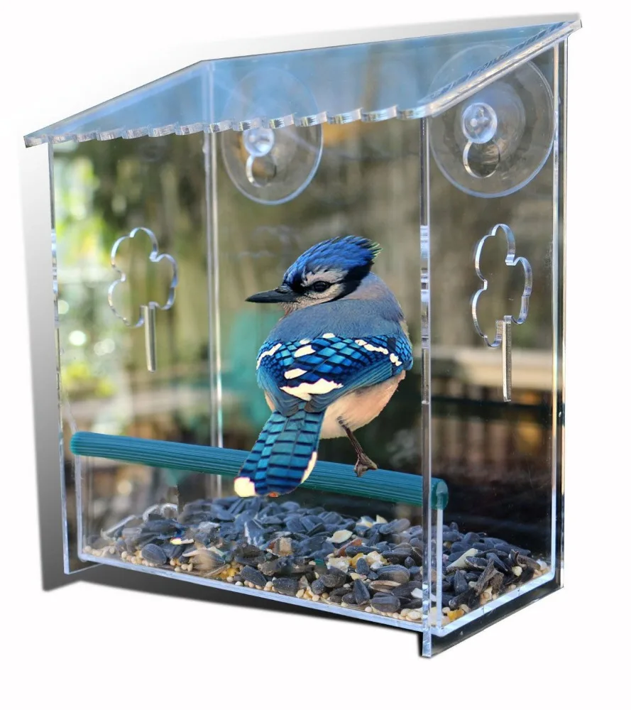 Customize Acrylic Hanging Window Bird Feeder With Removeable Tray