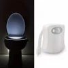 Hot Selling 8 Colors Changing Toilet Sensor Light LED Toilet