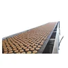 The newest technology full automatic bakery machines tunnel oven for biscuits