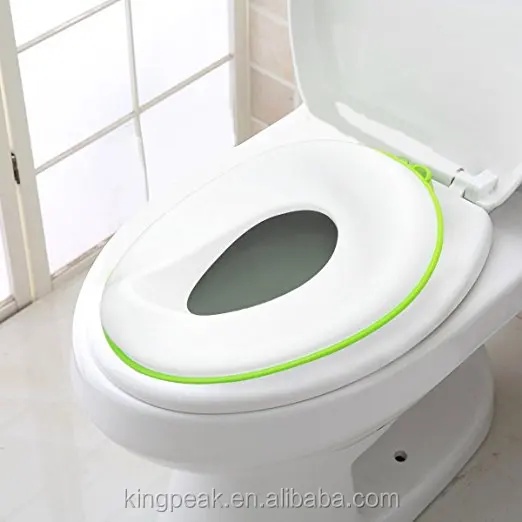 best potty training seat 2019