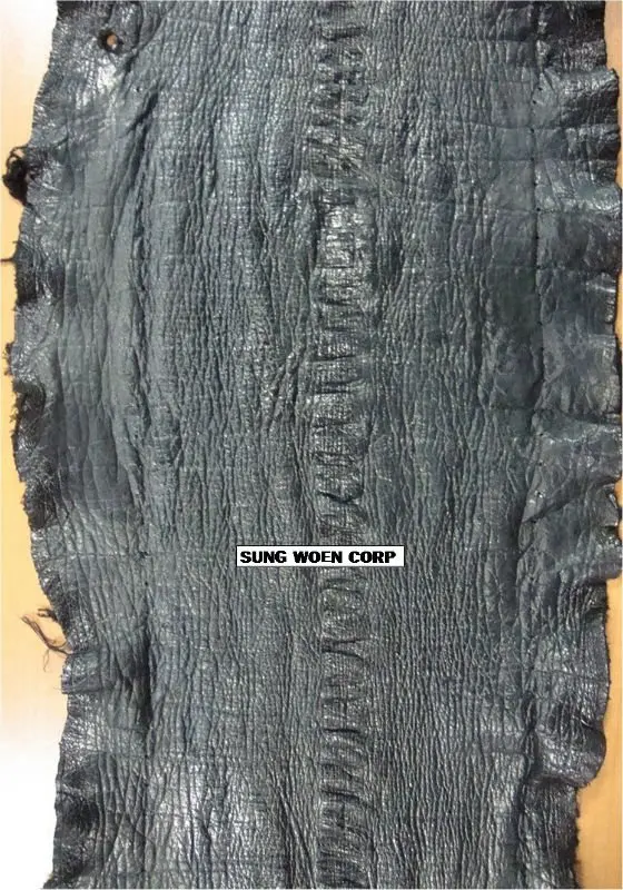 Гигантский кожи угря кошелек