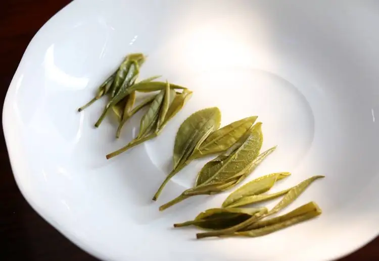 Anhui Organic Huoshan Huangya Yellow Tea,popular selling Yellow Tea - 4uTea | 4uTea.com