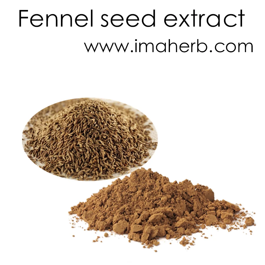 Top Grade Organic Fennel Seed Extract Powder Buy Fennel Seed Extract