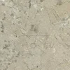 Shells Reef Golden limestone