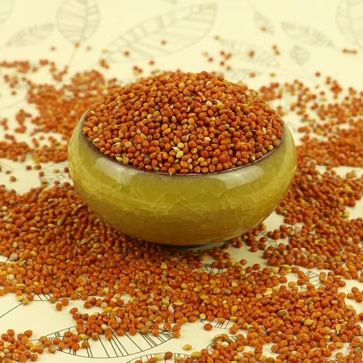 Well Choose Red Millet In Husk Mc Type Buy Millet,Red Millet Spray