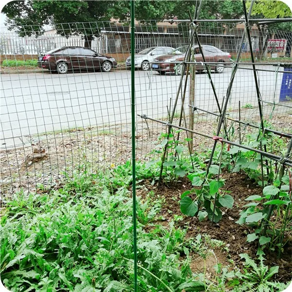 
Green plastic bamboo garden stakes wholesale 