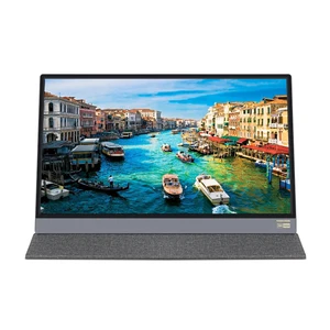 15.6 inch Portable Monitor Laptop or Gaming