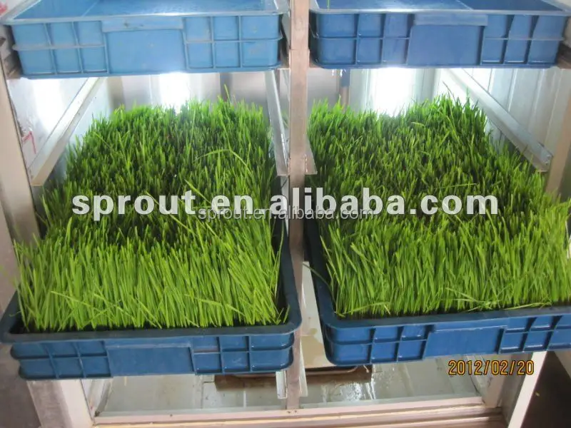 
Hydroponics Animal Fodder Machine Fodder sprouting machine/barley grass growing machine /Animal fodder making machine 