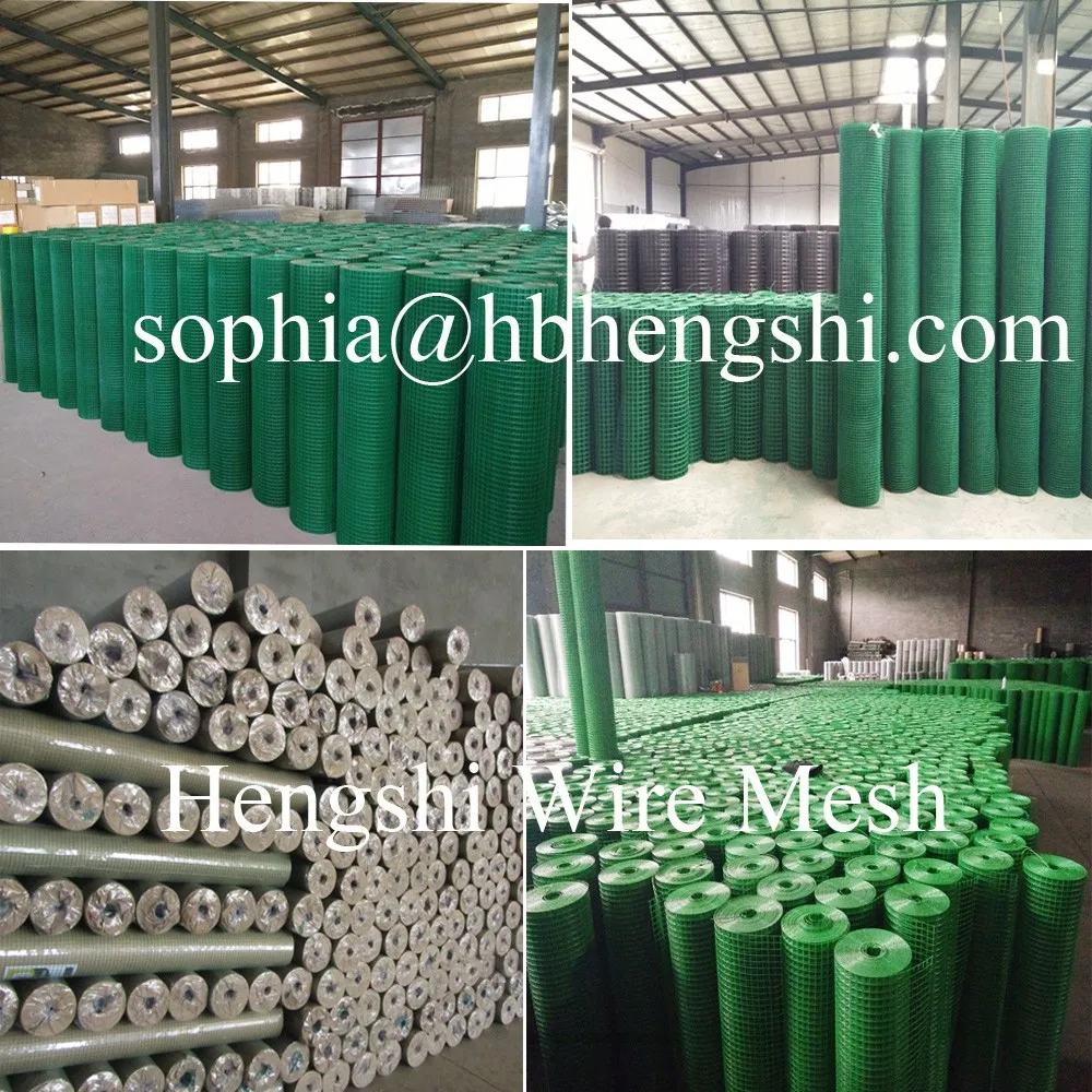 Pvc Coated Welded Wire Mesh Rolls Buy Pvc Coated Welded Iron Wire