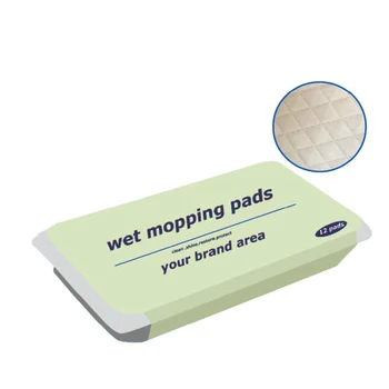 International Distributors Wanted Cleanroom Wiper Floor Mop Wet