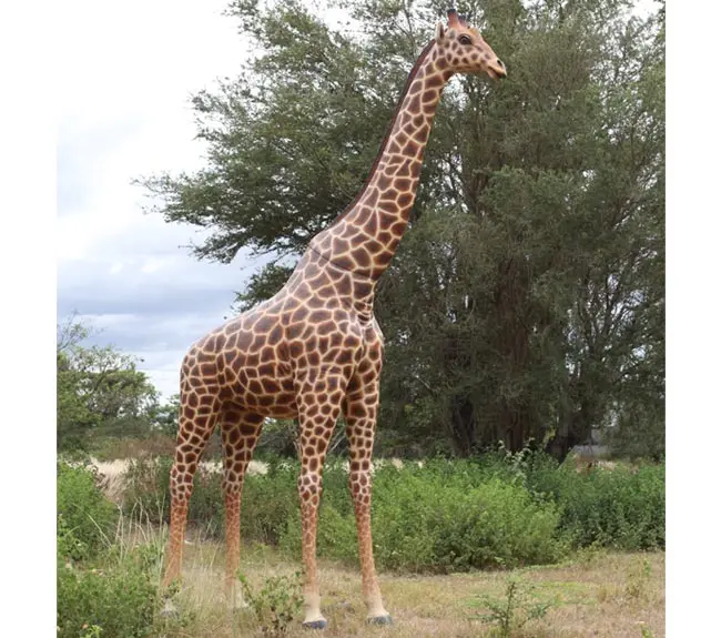 amazon life size giraffe