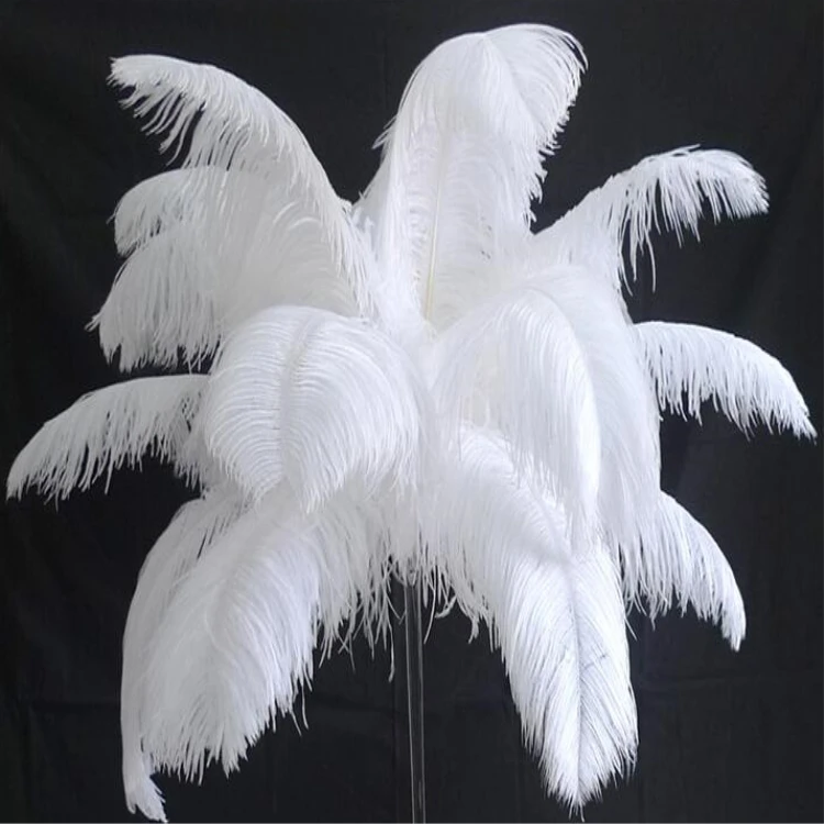 where to buy feather plumes