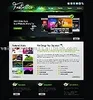 Custom flash websites