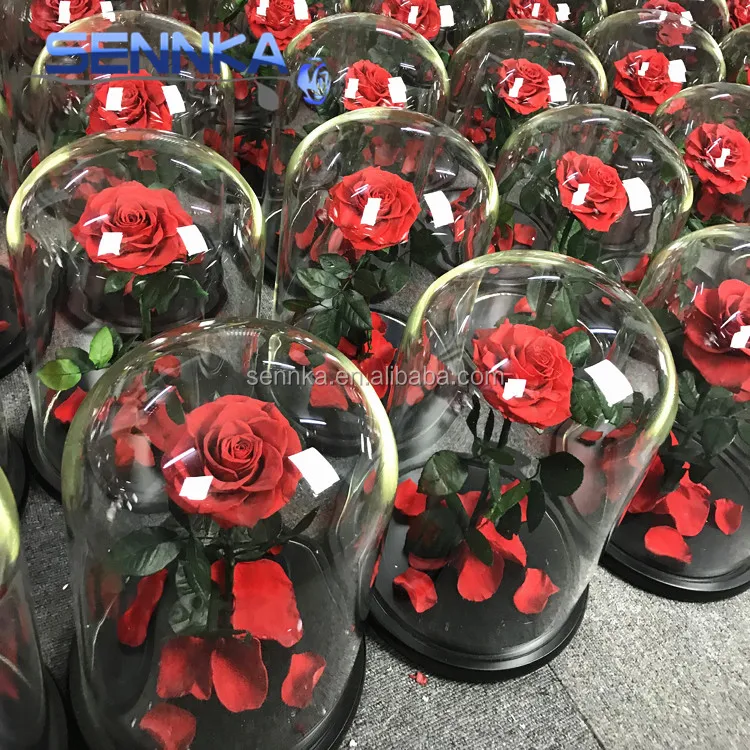 preserved flower in glass